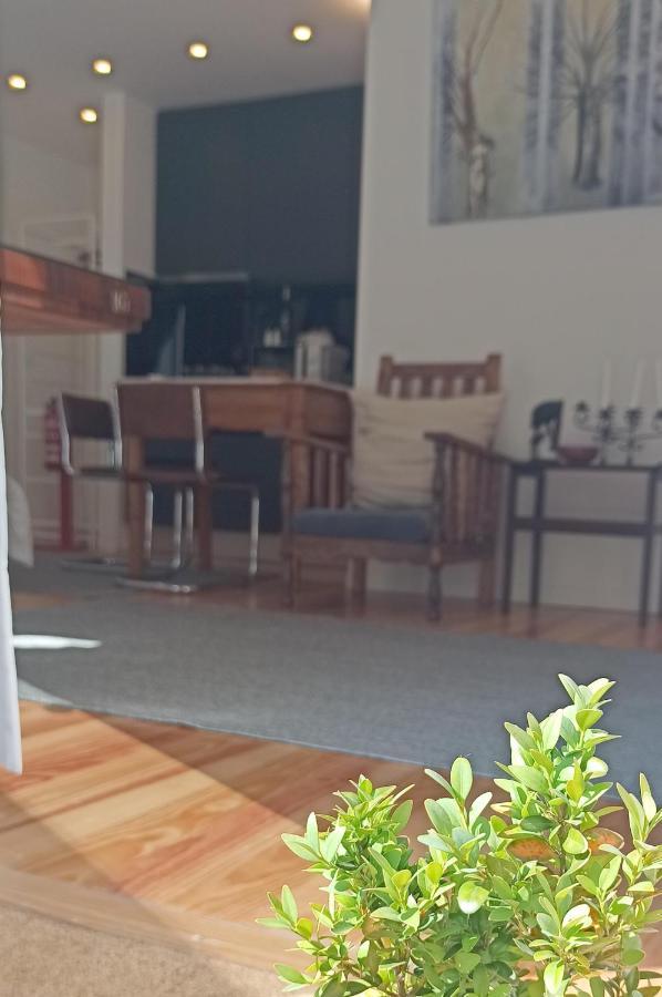 Apartamento Serralves 1108 -estudio 0